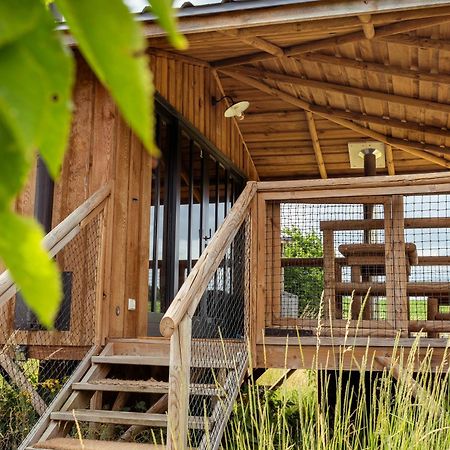 Écaussinnes-dʼEnghien Ecau Lodge - Logement Insolite A 30Km De Pairi Daiza מראה חיצוני תמונה